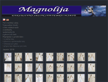 Tablet Screenshot of magnolija.cz